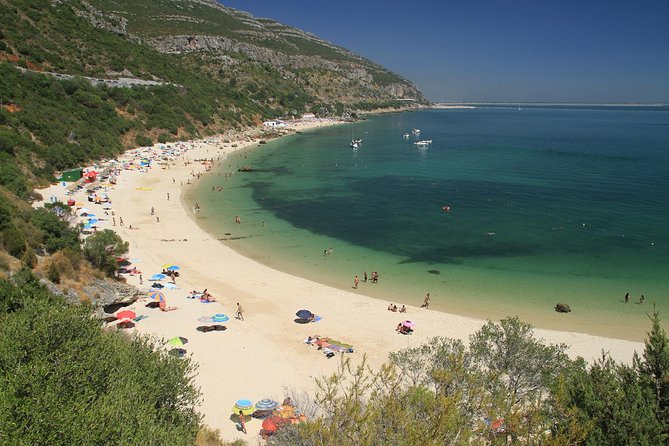 Full Day Private Tour - Arrábida Beaches and Azeitão Wine Region - Key Points