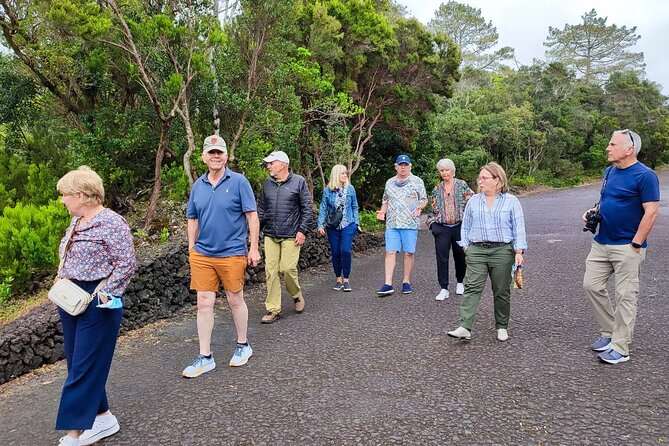 Full-Day Private Tour - Faial Island - Scenic Drive Along Flamengos Parish