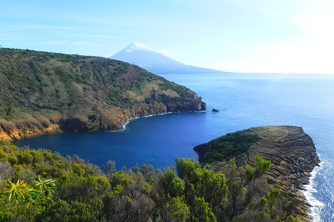 Full-Day Private Tour - Faial Island - Exploring Caldeira: Faial’s Iconic Volcanic Crater