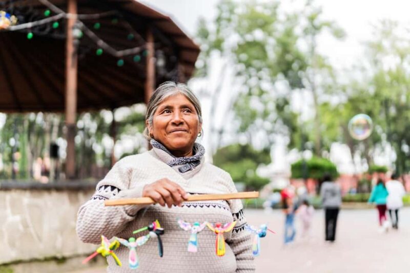 Full-day private tour from Mexico city to Coyoacán - The Comfort of Private Transportation and Personalized Service