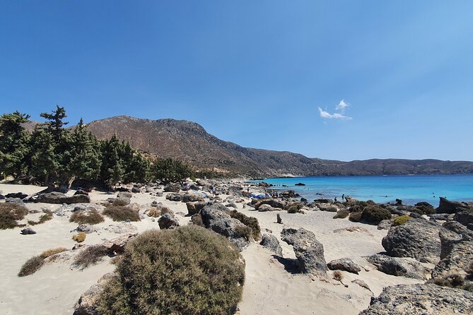 Full-Day Private Tour in Elafonisi Pink Beach - Customizable Experiences and Additional Activities