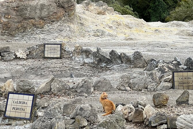 Full Day Private Tour in Furnas Valley Breath of the volcano - Bathing in the Healing Waters at Parque Terra Nostra