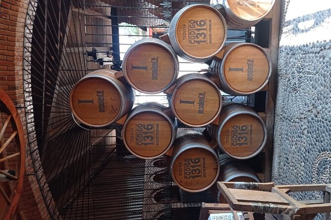 Full-Day Private Tour in Guadalajara - The Fun and Flavor of Cantaritos at El Guero