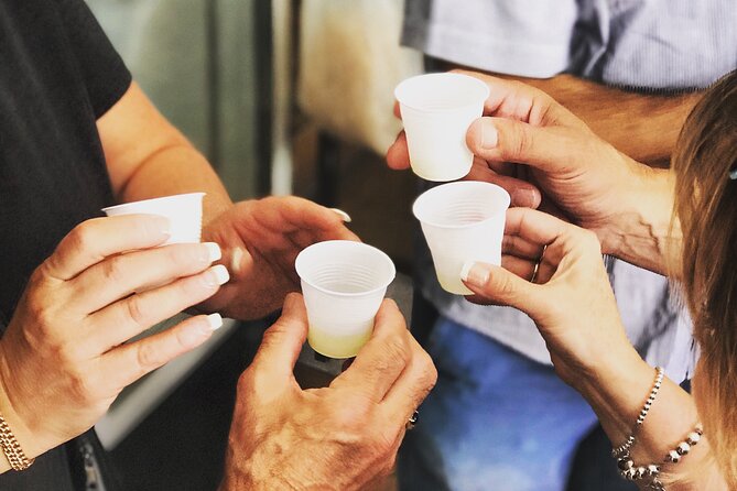 Full Day Private Tour in Pompeii, Vesuvio and Sorrento - Key Points