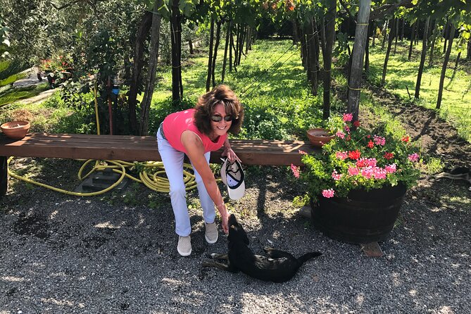 Full Day Private Tour in Pompeii, Vesuvio and Sorrento - Who Will Enjoy This Tour Most?