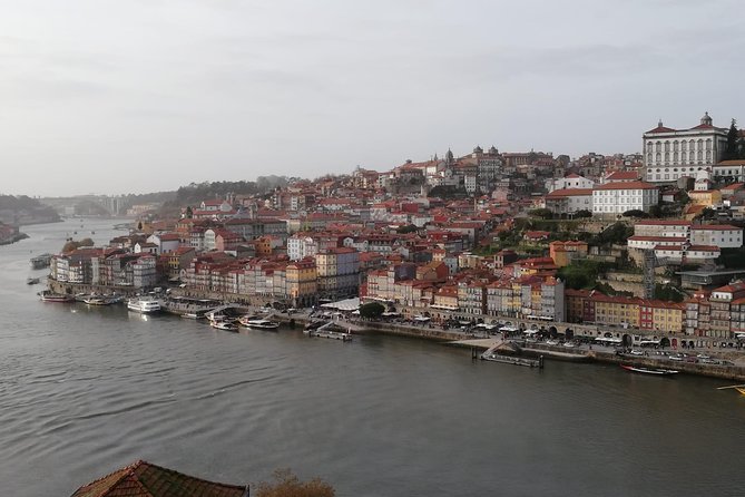 Full day Private tour in Porto - The Guide Experience and Customer Praise