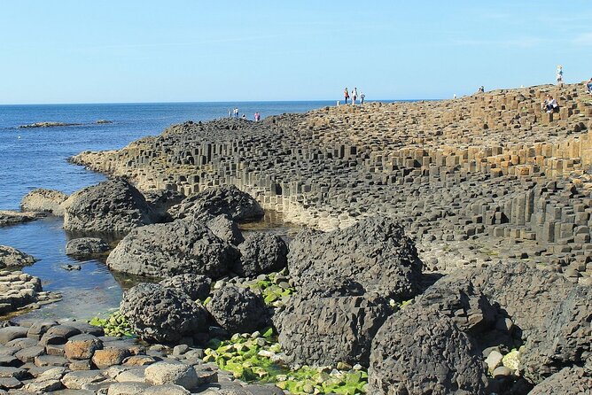 Full-Day Private Tour of Giants Causeway with Pick Up - Crossing the Carrick A Rede Rope Bridge