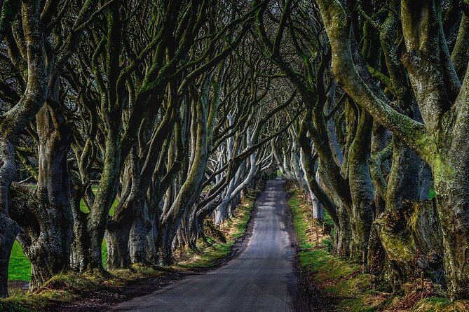 Full-Day Private Tour of Giants Causeway with Pick Up - The Magnificent Giants Causeway: Nature’s Basalt Masterpiece