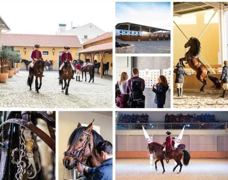 Full Day Private Tour of Lisbon with Equestrian Art School - Visiting Belém’s Top Monuments and Attractions