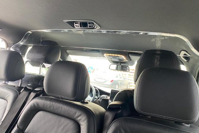 Full Day Private Tour of Paris - Sedan Car - Reviews Highlighting the Experience: Praises and Cautions