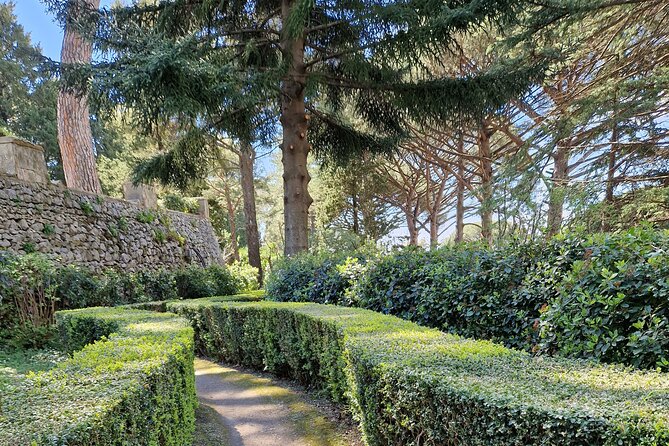 Full Day Private Tour of Pompeii and the Amalfi Coast - The Art of Driving and Local Expertise