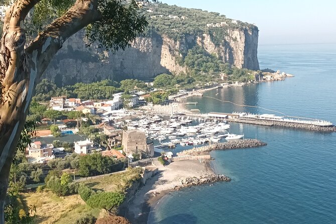 Full-Day Private Tour of Positano, Sorrento and Pompeii from Naples - The Comfort and Convenience of Private Transportation