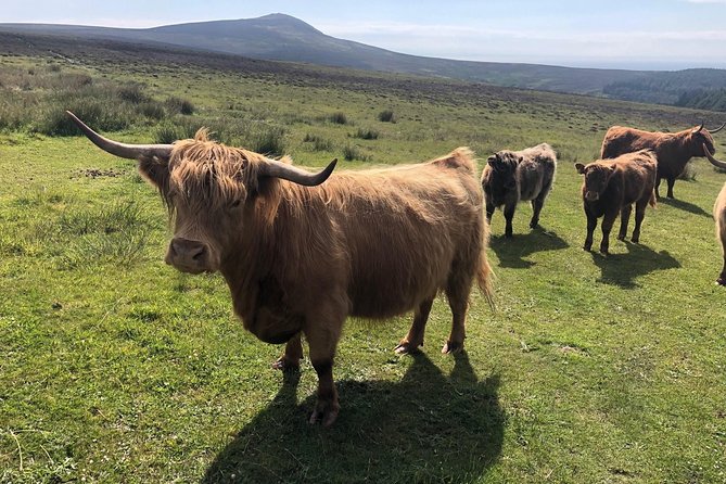 Full day Private Tour of the Isle of Man with experienced qualified driver guide - The Fairy Bridge and Return to Douglas
