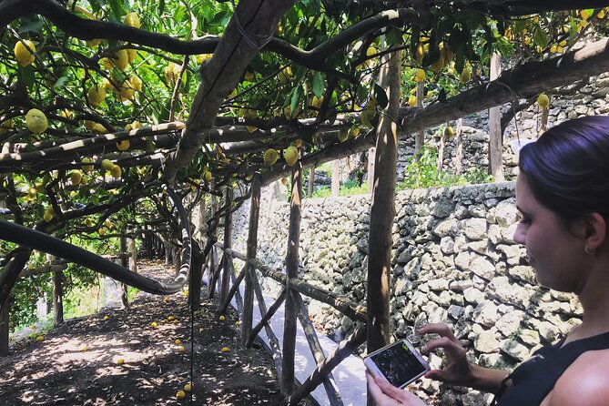 Full Day Private Tour on the Amalfi Coast - Practical Details of the Tour Logistics