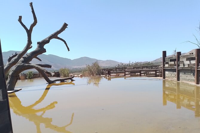 Full Day Private Tour or Guadalupe Valley Weekend - Explore the Best of Guadalupe Valley in a Private Full-Day Tour