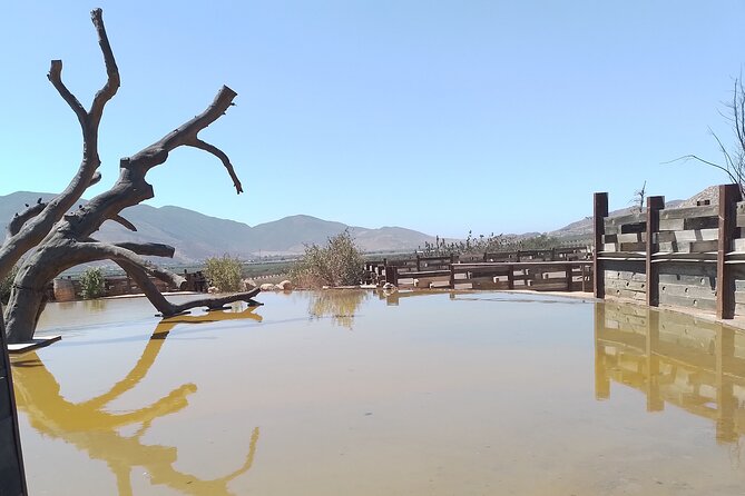 Full Day Private Tour or Guadalupe Valley Weekend - Key Points