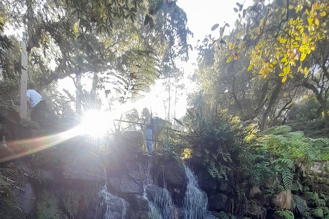 Full Day Private Tour Sintra Cape Roca Cascais up to 7 w/pick up - Practical Details and Booking Tips