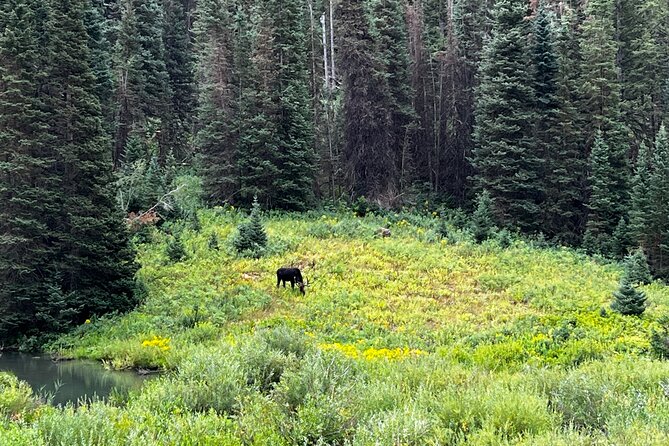 Full-Day Private tour through the Rocky Mountains - Scenic Drive Through the Wasatch Mountains