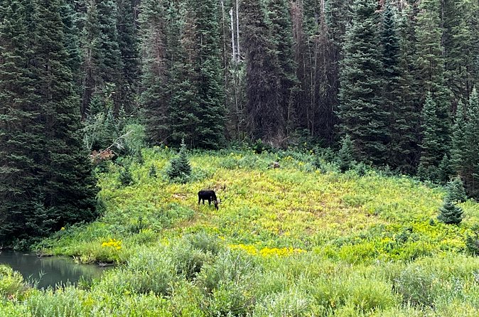 Full-Day Private tour through the Rocky Mountains - How the Tour is Different from Other Salt Lake City Outings