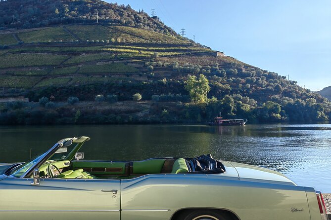 Full Day Private Tour to Douro - Vintage Experience - Private Tasting at Vinicola Wine & Soul