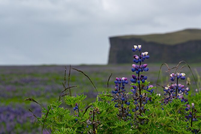 Full-Day Private Tour to Explore South Coast of Iceland - Explore Iceland’s South Coast on a Private Full-Day Tour for $1,745