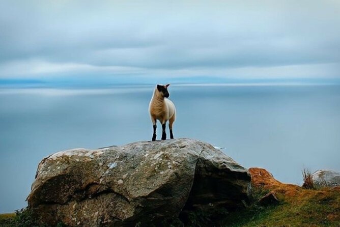 Full Day Private Tour to Ireland - Key Points