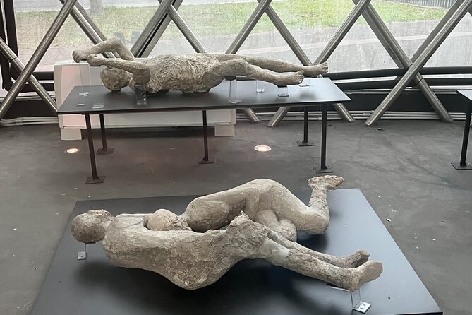 Full Day Private Tour to Pompeii, Herculaneum and Oplontis - What’s Included and What’s Not