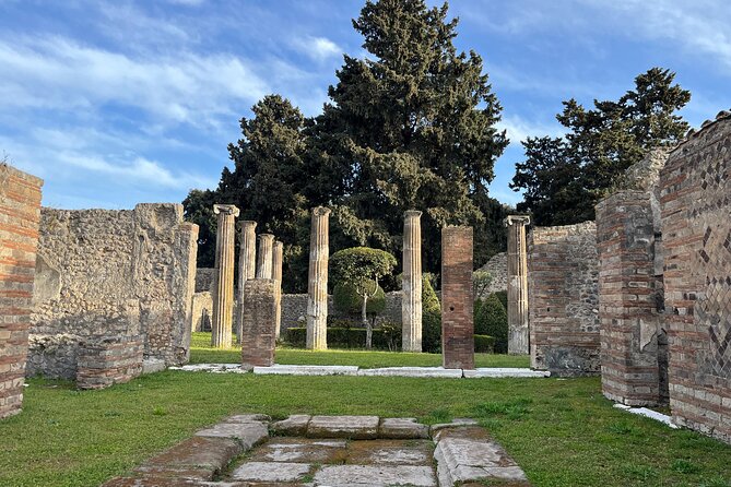 Full Day Private Tour to Pompeii, Herculaneum and Oplontis - Suitable For Those Who Value Flexibility and Comfort