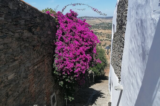 FULL DAY Private Tour to Sintra, Queluz, Cabo da Roca, and Cascais - Discover the Ultimate Private Day Trip from Lisbon for Up to 3 People