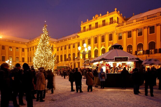 Full Day Private Vienna Christmas Market tour from Budapest with lunch - The Hofburg and Vienna’s Political Heart