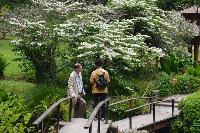 Full Day Private Wicklow Tour - Flexibility and Private Transportation: Customizable Experience