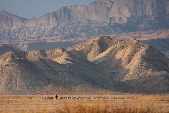 Full-Day Private Wilderness Tour in Vashlovani National Park - Practical Amenities and Customization Options