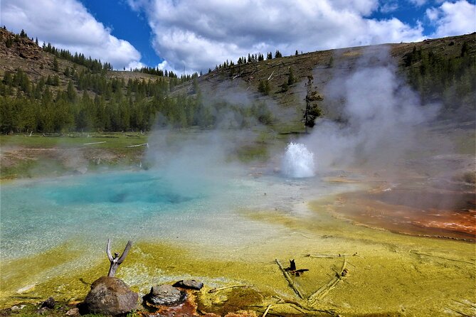 Full Day Private Wildlife/Geyser Tour from West Yellowstone - Wildlife Observation and Scenic Overlooks in Hayden Valley