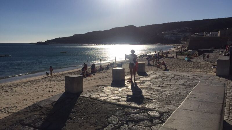 Full Day Private Wine Tour in Arrabida - Flexibility and Booking Terms