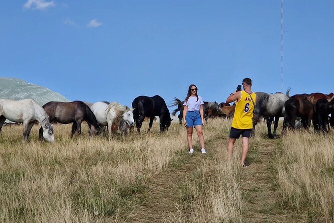 Full-Day Quad and Wild Horses Safari in Livno from Split - Encountering Wild Horses in Their Habitat