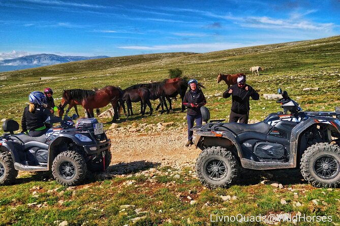 Full-Day Quad and Wild Horses Safari in Livno from Split - The Experience of Interaction with the Horses