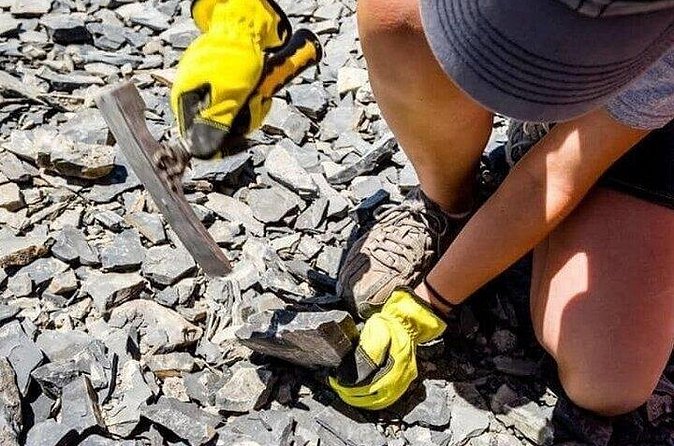 Full Day Quarry Access - Price and Value for a Full-Day Fossil Dig