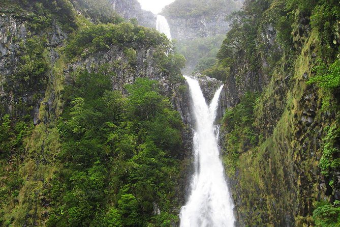 Full-Day Rabaçal Levada Walk from Funchal - Discovering the 25 Fontes and Cascada da Risco