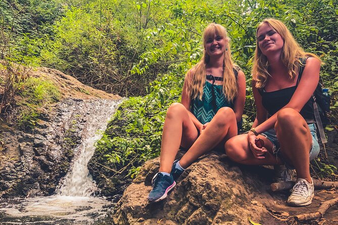 Full Day Rainforest Tour with Tasting and Swimming Time - Physical Requirements and Accessibility