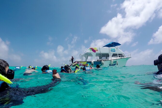 Full-Day Reef Snorkeling in Cozumel from Cancun with Lunch - Exploring Cozumels Top Marine Attractions: Dzul-Ha, Casa Blanca, and Dalila Reefs