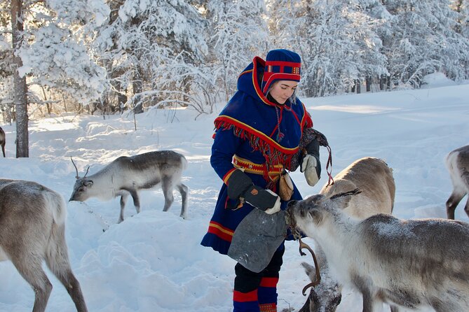 Full-Day Reindeer Tour with Pickup in Kiruna - Full-Day Reindeer Tour in Kiruna: A Deep Dive into Sami Life and Nature
