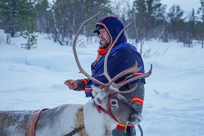 Full-Day Reindeer Tour with Pickup in Kiruna - Reindeer Sledding Through Laplands Winter Wilderness