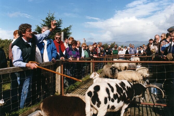 Full-Day Ring of Kerry Tour from Killarney - Frequently Asked Questions