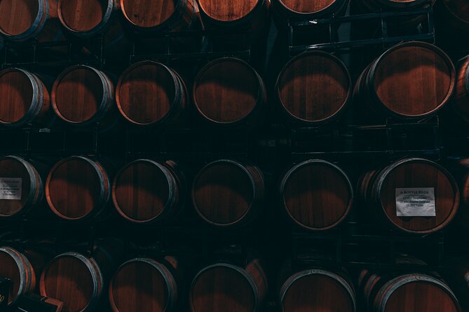 Full-Day Rioja Wineries Tour from Madrid with Pickup and Drop off - The Benefits and Limitations of This Rioja Tour