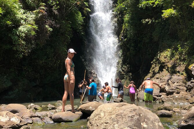 Full-Day Road to Hana and Waterfall Tour - Practicalities: Meeting Point and Timing