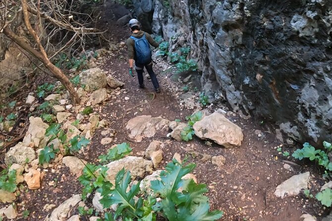 Full Day Rock Climb Adventure Trail from Lisbon with Lunch - Exciting Full-Day Rock Climb Adventure in Lisbon for All Skill Levels