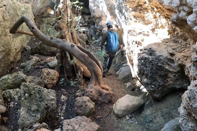 Full Day Rock Climb Adventure Trail from Lisbon with Lunch - Flexibility with Rainy Weather: Canyoning and Kayaking