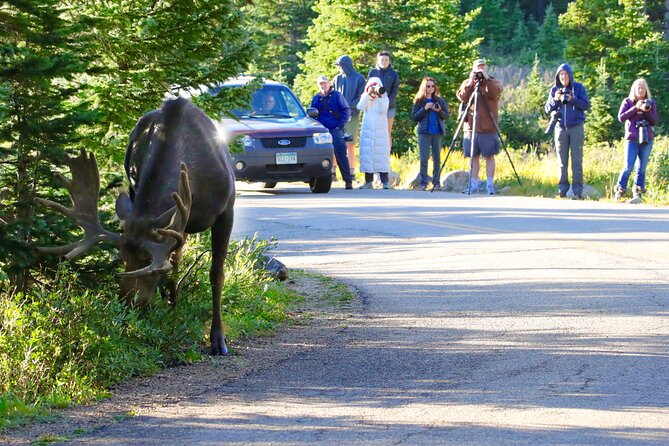 Full-Day Rocky Mountain National Park "Over The Top Tour" - RMNPhotographer - Scenic Drive Along Trail Ridge Road