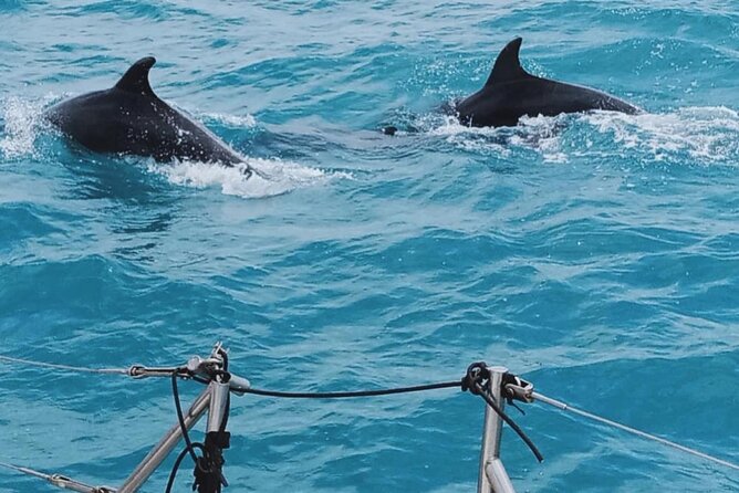 Full Day Sailing Tour Catania-Acitrezza - Snorkeling and Paddleboat Opportunities in Season