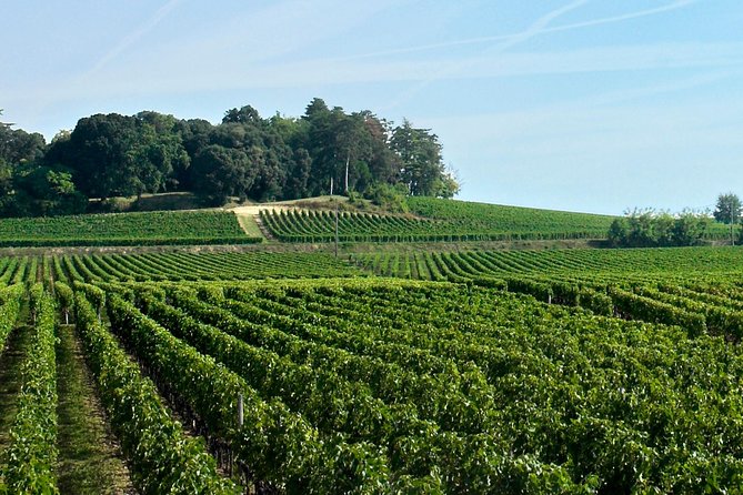 Full-day Saint-Emilion: Village, Undergrounds and Châteaux - The Pacing and Group Size: Practical Aspects